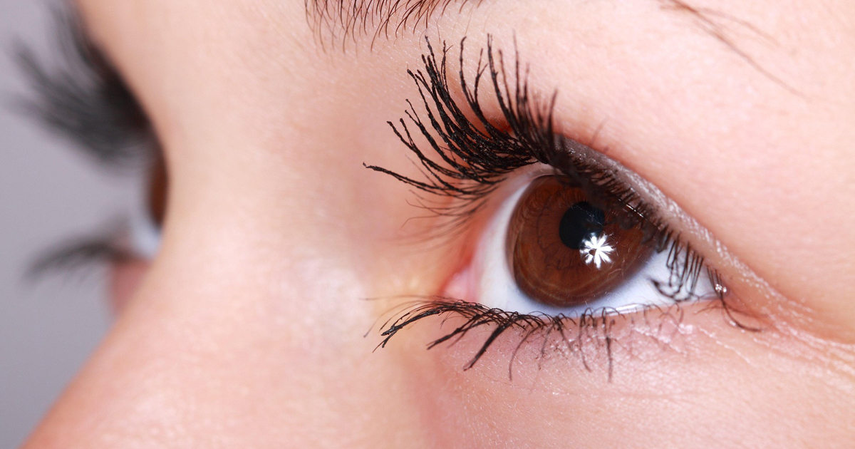 Operación de presbicia: precio, resultados, tipos y más. Fotografía de PublicDomainPictures, Pixabay