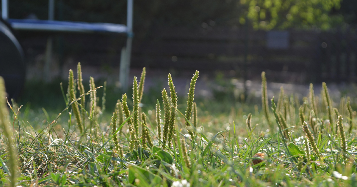 Historial de crédito. Fotografía de Anne Kroiß, Pixabay.