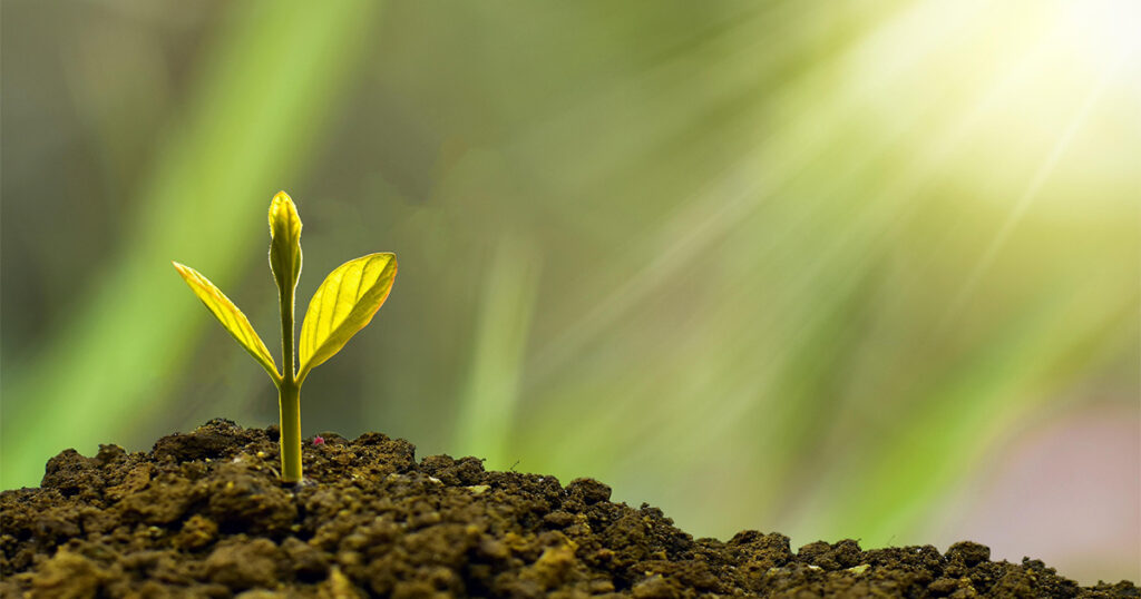 Intereses compuestos