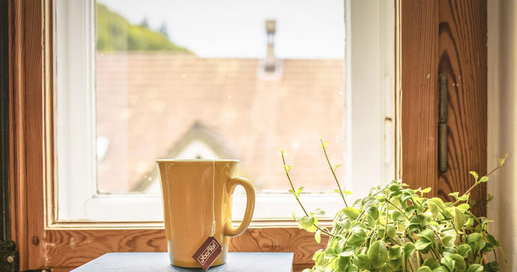 Vivienda de protección oficial