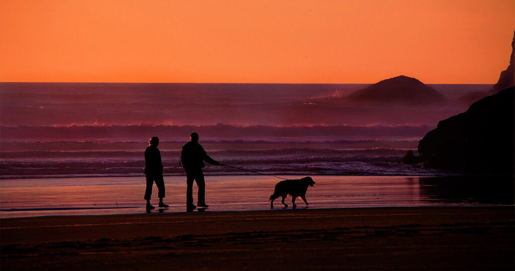 Jubilación antes de tiempo