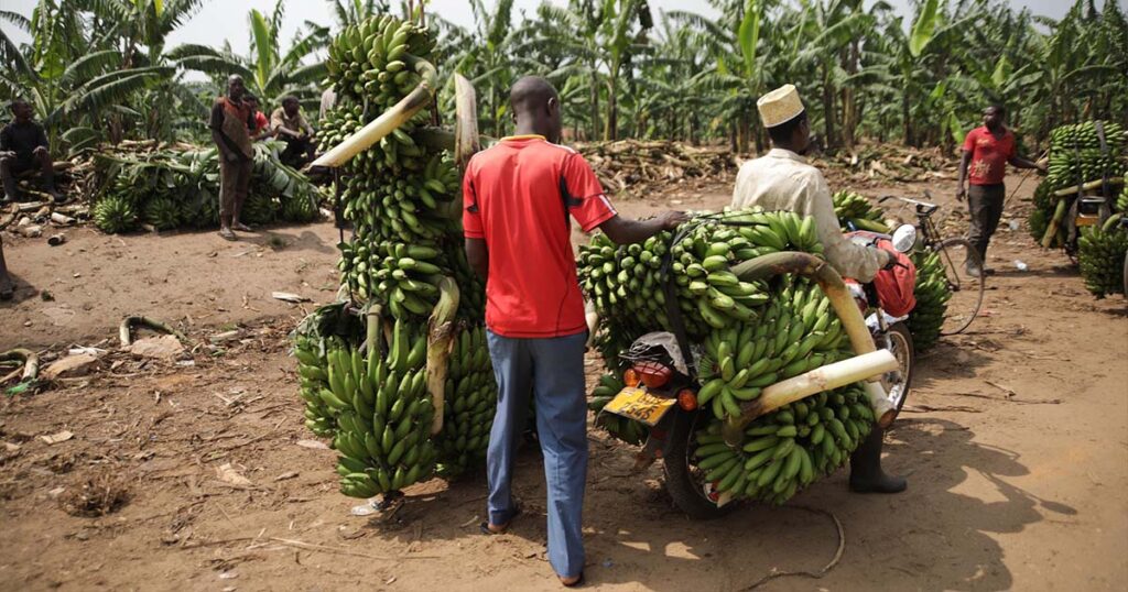 Qué es oferta y demanda